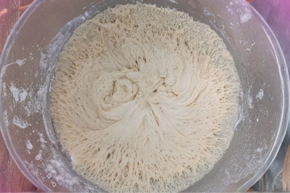 רשת הגלוטן בבצק